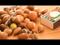 どんぐりキャンドル作り。diy craft acorn candle