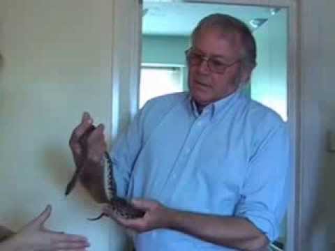 leeds hypnotherapy self hypnosis physical change