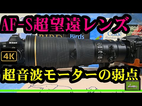 Nikon AF-S 超音波モーターの弱点とは・・・ - YouTube