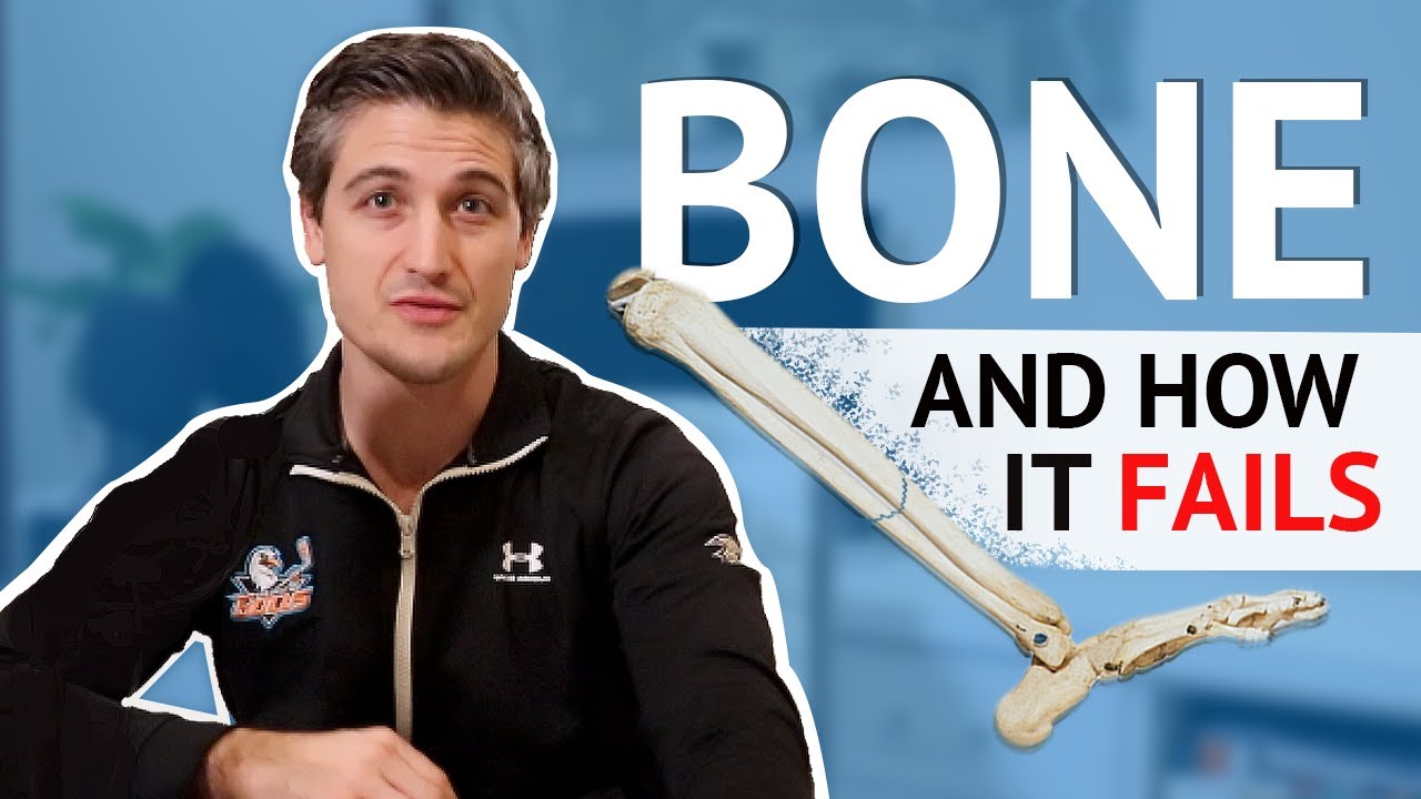 Bone (an amazing organ!) and How It Fails