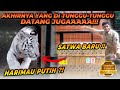 ALSHAD KEDATANGAN SATWA BARU ?? HARIMAU PUTIH YANG LANGKA ?! BUAT JADI TEMENNYA ESHAN JINORA !!