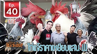 ไก่แจ้สวยงาม - [Bantam chickens Farm] เ​พื่อนรักสัตว์เอ๊ย EP.40 (1/3)