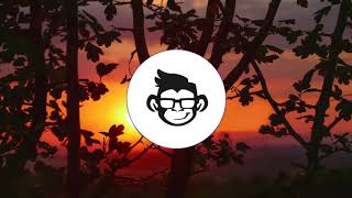 goosetaf - Solstice