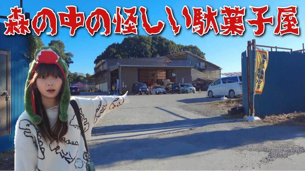 森の中から突如現れる怪しい駄菓子屋『あひるSHOP』が想像以上だった...