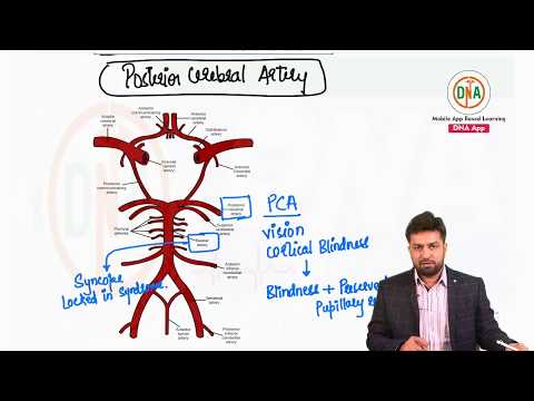 Focal Neurological Deficits I Medicine I For NEET-PG 2021 AIIMS I By Dr. Shadab Moosa