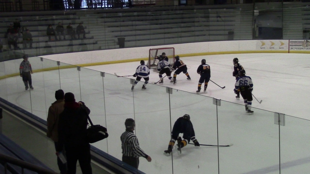 17 of 72 Blues v Sabres 20161211