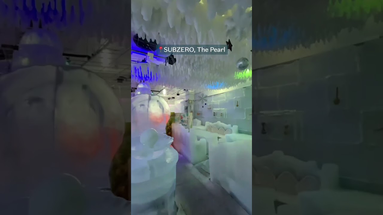 Enjoy an icy experience at Sub Zero Cafe ❄️ 