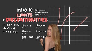LIMITS AND DISCONTINUITIES CRASH COURSE (holes, jump, and infinite discontinuities)