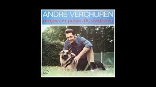 Un Jour Je Te Dirai - par André Verchuren et son accordéon