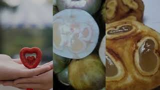 Palmyra Health Benifits And Palm Tree Climbing And Palmfruite Nutrients Indian Seasional Fruite Wild