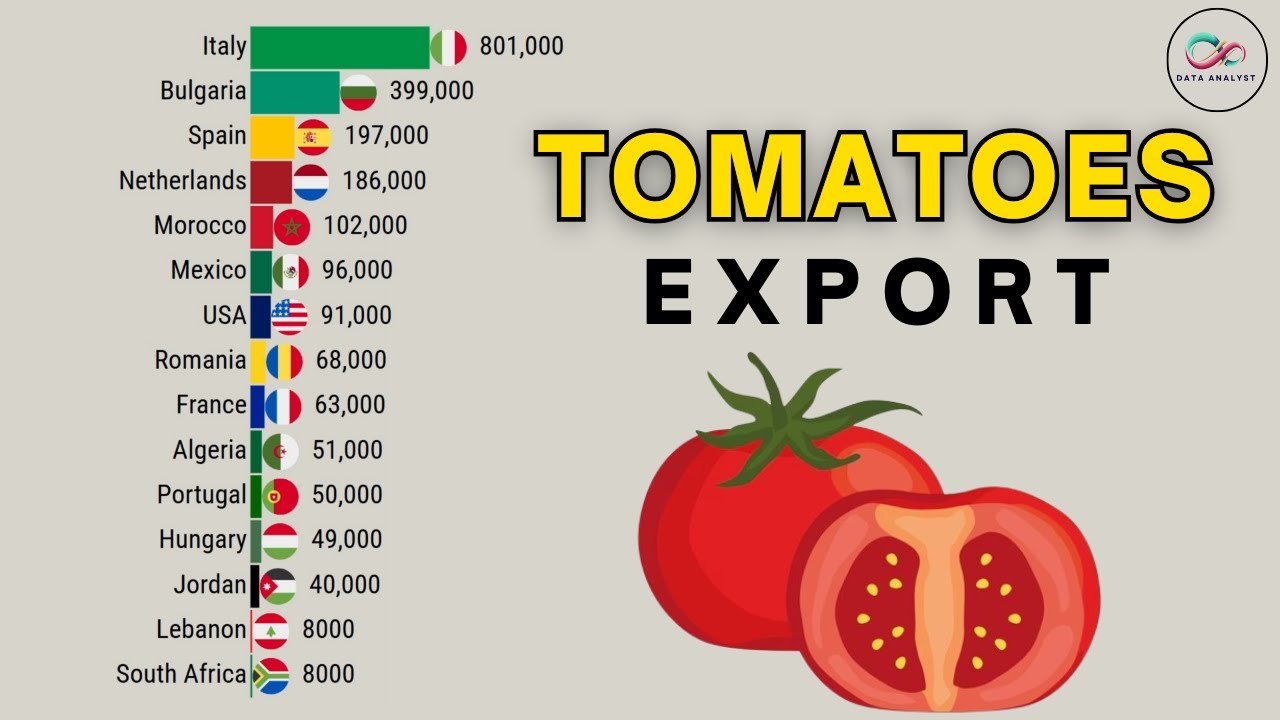 Worlds Largest Tomato Export Countries