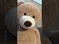 IDK what I’m doing, PLS 20k views #washmybelly #trend #Milanausa