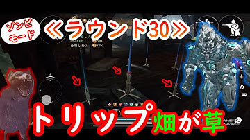 【CODm】ゾンビモード≪ラウンド30≫　トリップマイン畑が笑える　ブルータスタックルがやばい！！