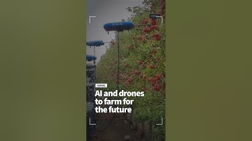 Israel enlists drones, AI and big data to farm for the future