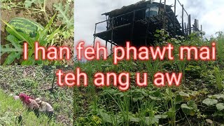 Download Lagu Khuangthing thlawhhma lam fanna MP3 Download Lagu Khuangthing thlawhhma lam fanna MP3