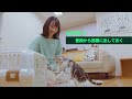 「猫を病院に連れて行く5つのポイント」PART1:猫をキャリーケースに慣れさせる