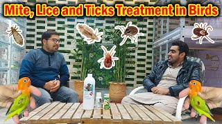 Mites in Birds and Solution | Air Sac Mites Treatment || What Is Scaly Mites Ur Air sac Mites by Pak Pet Zone 4,978 views 9 months ago 7 minutes, 31 seconds