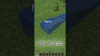 Secret Minecraft Facts