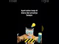 ayah bekerja