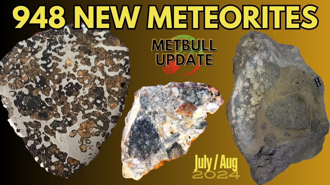 Rare Lunar Moon Meteorites ☄️ New China Pallasite - Gyarub