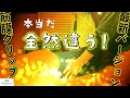 【筋膜グリップ】　腹臥位の最新バージョン【整体スクール】
