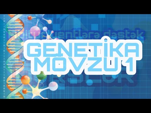 Genetika Mövzu 1. DİM TES TOPLUSU İZAHI