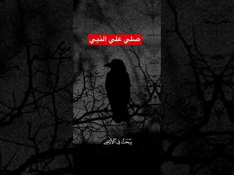 السيد سعيد قرأن   