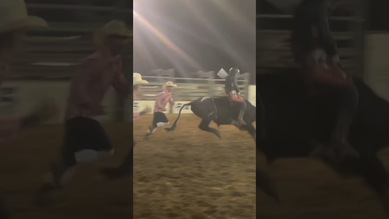 I Won The Rodeo With 75 Points Got 72 Dollars