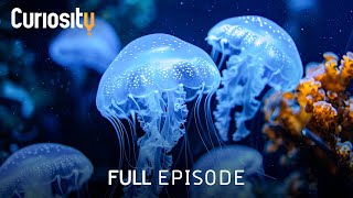 The Secret World of the Aquarium After Dark | Night At The Aquarium