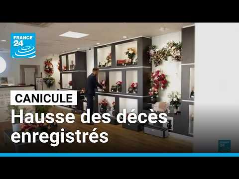 Canicule : dans les pompes fun&egrave;bres, une augmentation des d&eacute;c&egrave;s enregistr&eacute;s &bull; FRANCE 24

Un patron de pompes fun&egrave;bres &agrave; Pantin dit avoir eu une augmentation de d&eacute;c&egrave;s enregistr&eacute;s cette semaine : "50% de plus", estime-t-il, alors que la France est en fin d'&eacute;pisode caniculaire. Il s'attend &agrave; une forte activit&eacute; en d&eacute;but de semaine prochaine.

#Canicule #dans #les #pompes #fun&egrave;bres