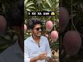 3 KG Ka Aam 😱 Maroon Color Mango 😍 Aisa Kabhi Nahi Dekha! #aivideo #trending #shorts