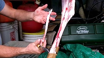 Collecting Deer Sinew