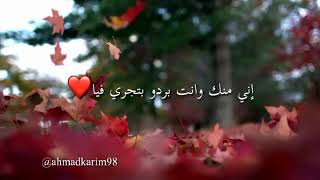 حالات رومنسية ❤️ أجمل حلم - تامر عاشور