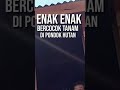 Enak enak || bercocok tanam di pondok hutan - #shorts