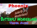 Phoenix, AZ | Butterfly Wonderland - Scottsdale, AZ (TRAVEL GUIDE) | Episode# 13