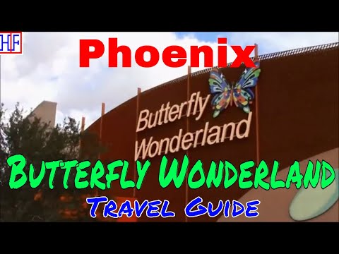 วีดีโอ: Butterfly Wonderland ในสกอตส์เดล รัฐแอริโซนา