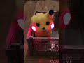 ピカチュウっぽいワンちゃん #ポケモン