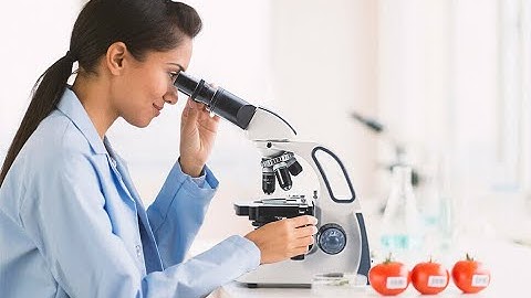 How to use SWIFT SW380B microscope? beautiful engineers explain the whole process to you in detail.