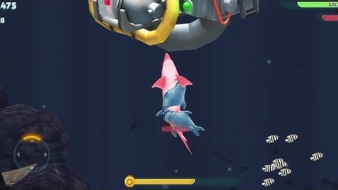 Hungry Shark Evolution - Mobile Gameplay Part 6 Android, iOS