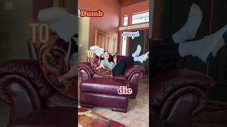 Accepting New Boyfriend Applications Luke Is