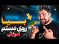آموزش کامل روی دست آمدن به طوطی || How to teach a parrot to step up