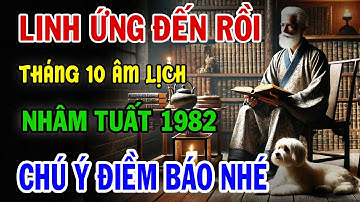 CHẤN ĐỘNG | Tử Vi tháng 10 ÂM LỊCH, Nhâm Tuất 1982: VẬN HẠN và CƠ HỘI Ra Sao