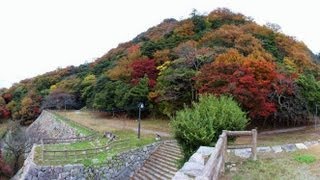 鳥取城の紅葉 トットリ街歩き 鳥取城 検索動画27 鳥取城の紅葉 トットリ街歩き 鳥取城 検索動画 27