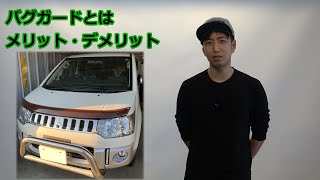 デリカD5にバグガードを長期装着してメリット・デメリットを話している動画