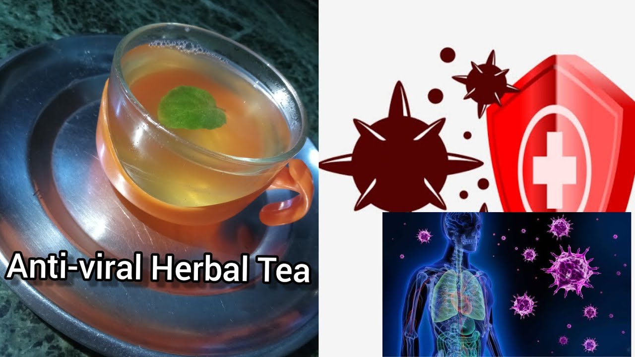 Virus Tea Anti-viral Herbal Tea - YouTube
