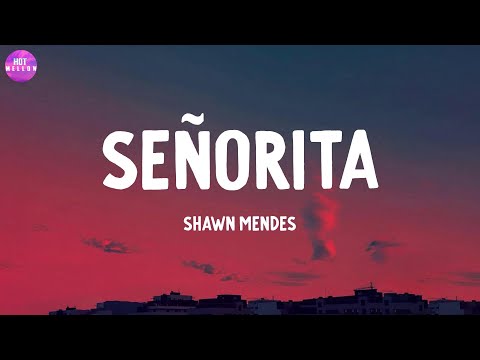 Señorita - Shawn Mendes / Closer, Kill Bill,...(Mix)