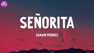 Señorita  Shawn Mendes / Closer, Kill Bill,...(Mix)