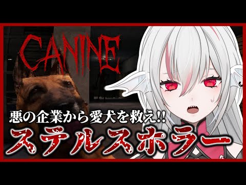 【CANINE】悪の企業から愛犬を助け出せ！ローポリステルスホラー【しろこりGames/インディーゲーム実況】