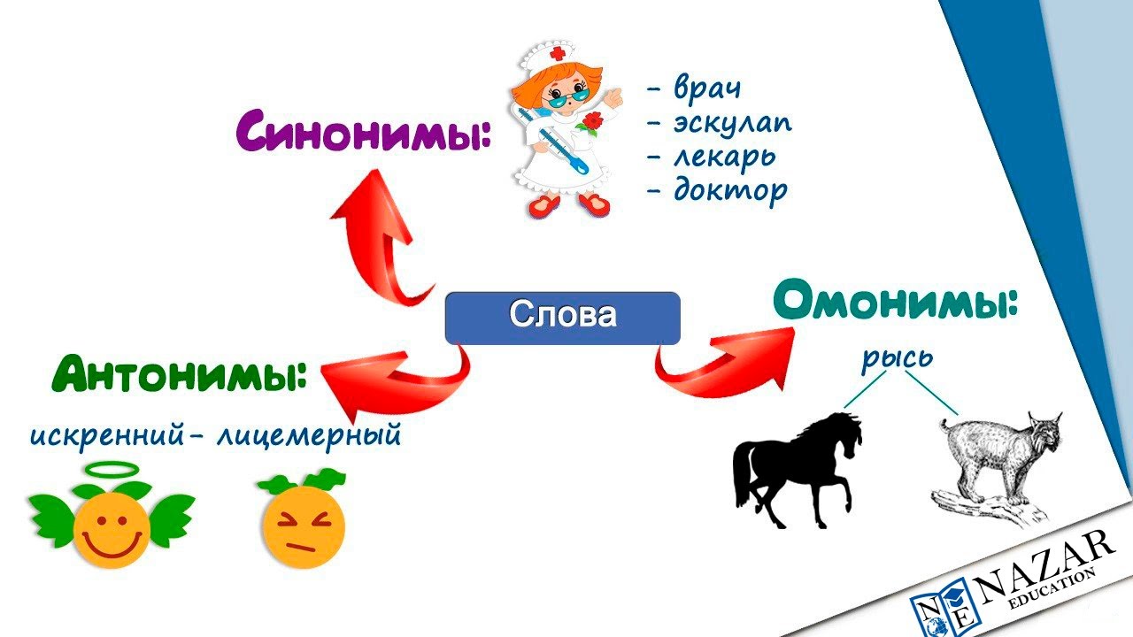 Есть синонимы антонимы омонимы