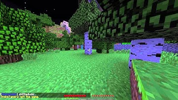 Troubleguy4 Hacking (Tracers) -- TyrantCraft Minecraft Server